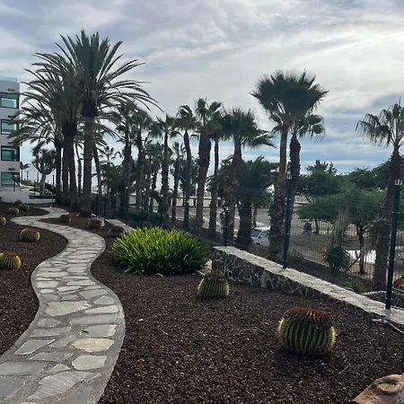 Oasis De Paz Junto Al Mar Maspalomas (Gran Canaria)