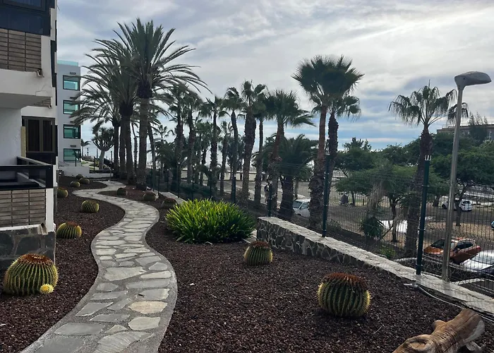 Oasis De Paz Junto Al Mar Maspalomas (Gran Canaria)